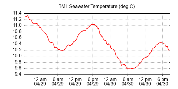BML seawater temp c